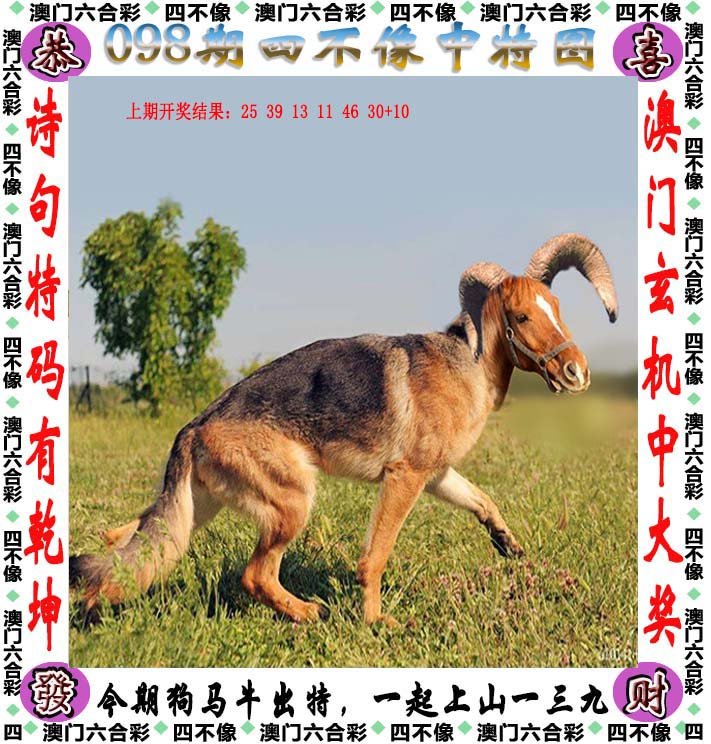 2025新澳精准正版免费和2025澳门精准正版免费四不像,全面释义、解释与落实-警惕虚假宣传-全面释义、解释与落实 解析与释义