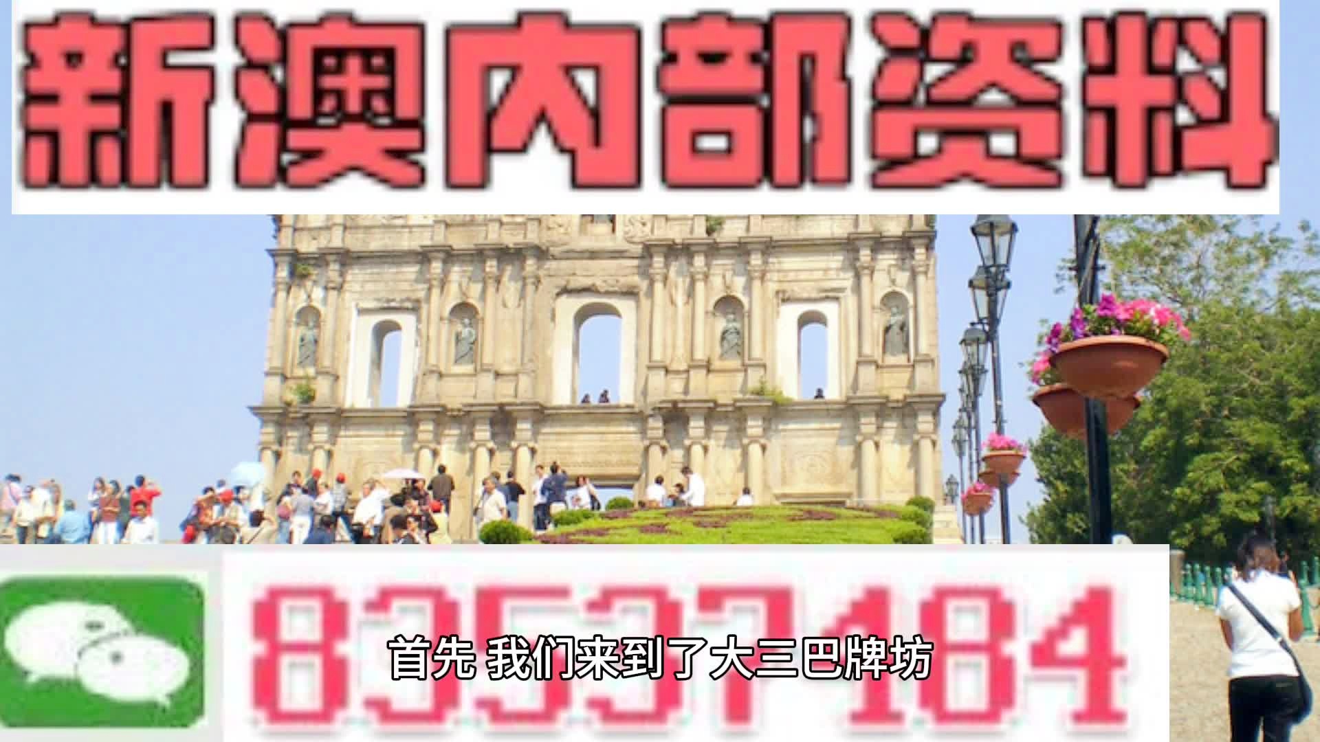 2025新澳门天天免费精准,精选解析、解释与落实